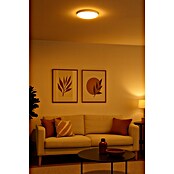 Alverlamp Plafón LED redondo luz cálida (20 W, Blanco, Ø x Al: 22,5 x 3,9 cm)