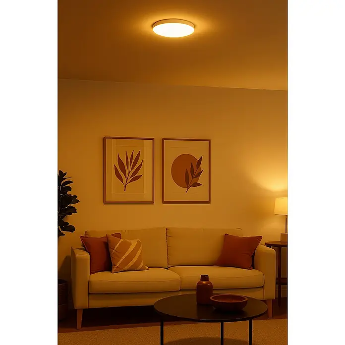 Alverlamp Plafón LED redondo - 20 W, Ø x Al: 22,5 x 3,9 cm, Blanco, Blanco cálido - Una lámpara de techo moderna ilumina una sala de estar acogedora con una decoración minimalista, creando un ambiente cálido.