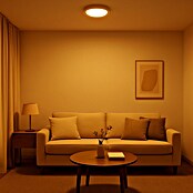 Led Hispania Plafón LED redondo luz cálida (6 W, Blanco, Ø x Al: 12 x 4 cm)