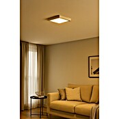 Led Hispania Plafón LED luz cálida (6 W, Blanco, L x An x Al: 12 x 12 x 4 cm)