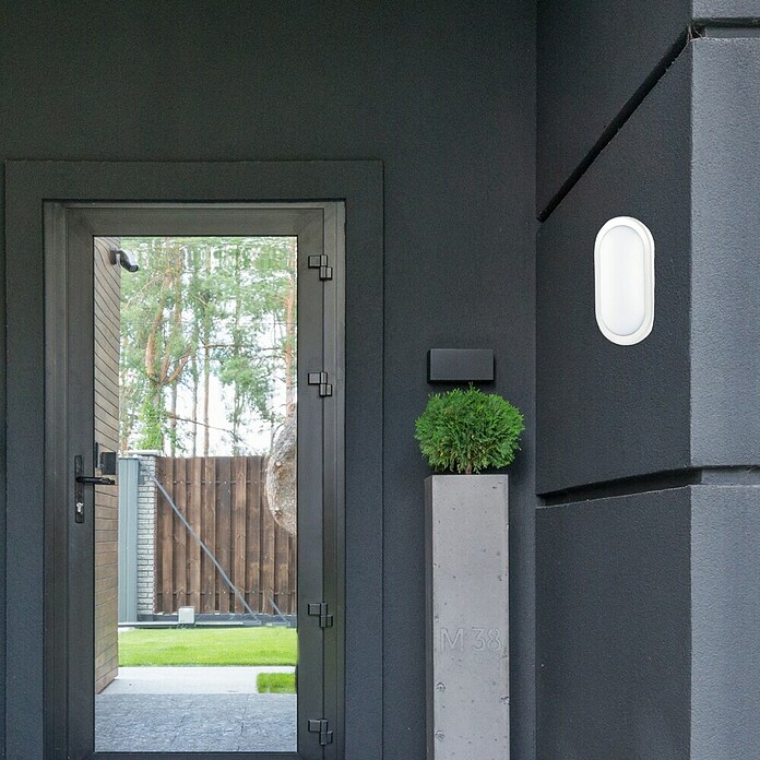 Luceco Aplique exterior LED Mini Oval (1 luz, 5,5 W, Color de luz: Blanco neutro, IP54)