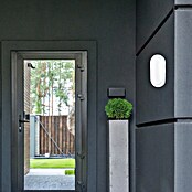 Luceco Aplique exterior LED Mini Oval (1 luz, 5,5 W, Color de luz: Blanco neutro, IP54)