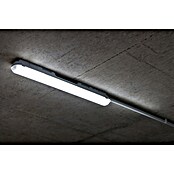 Eglo Regleta estanca Pro LED-E (8,5 W, IP65) | BAUHAUS