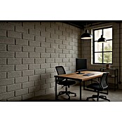 BHS Madrid Bloque de hormigón poroso caravista (40 x 10 x 20 cm, Gris, Hormigón) | BAUHAUS