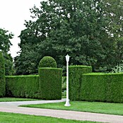 Farola Orlando  (60 W, Altura: 170 cm, Blanco)