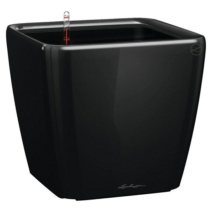 Lechuza Pflanzkasten Quadro Premium (Außenmaß (L x B x H): 35,5 x 35,5 x 32,5 cm, Kunststoff, Schwarz) | BAUHAUS