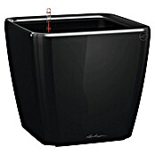Lechuza Pflanzkasten Quadro Premium (Außenmaß (L x B x H): 35,5 x 35,5 x 32,5 cm, Kunststoff, Schwarz) | BAUHAUS