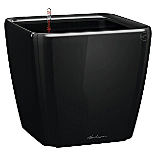 Lechuza Pflanzkasten Quadro Premium (Außenmaß (L x B x H): 35,5 x 35,5 x 32,5 cm, Kunststoff, Schwarz)