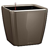 Lechuza Pflanzkasten Quadro Premium (Außenmaß (L x B x H): 28 x 28 x 26 cm, Kunststoff, Taupe) | BAUHAUS