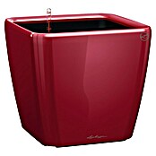 Lechuza Pflanzkasten Quadro Premium (Außenmaß (L x B x H): 35,5 x 35,5 x 32,5 cm, Kunststoff, Rot) | BAUHAUS