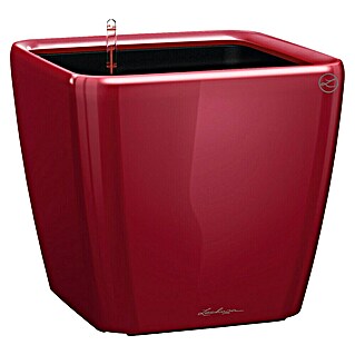 Lechuza Pflanzkasten Quadro Premium (Außenmaß (L x B x H): 35,5 x 35,5 x 32,5 cm, Kunststoff, Rot)
