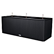 Lechuza Cottage Balkonkasten Trio (Außenmaß (L x B x H): 129,5 x 42 x 44 cm, Kunststoff, Schwarz) | BAUHAUS