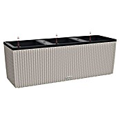 Lechuza Cottage Balkonkasten Trio (Außenmaß (L x B x H): 129,5 x 42 x 44 cm, Kunststoff, Sandbraun) | BAUHAUS