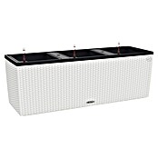 Lechuza Cottage Balkonkasten Trio (Außenmaß (L x B x H): 129,5 x 42 x 44 cm, Kunststoff, Weiß) | BAUHAUS