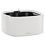 Lechuza Pflanztopf Pila Color Low (Außenmaß (L x B x H): 35 x 35 x 16,6 cm, Kunststoff, Lichtgrau) | BAUHAUS