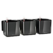 Lechuza Wand-Pflanzkasten Kit Glossy (Außenmaß (L x B x H): 48 x 15 x 14 cm, Kunststoff, Anthrazit) | BAUHAUS