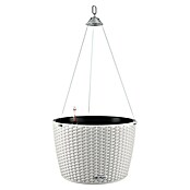 Lechuza Cottage Blumenampel Nido (Außenmaß (Ø x H): 27 x 23 cm, Kunststoff, Grau) | BAUHAUS