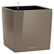 Lechuza Cube Pflanzkübel eckig Premium (Außenmaß (L x B x H): 49 x 49 x 49,5 cm, Kunststoff, Taupe) | BAUHAUS