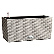 Lechuza Cottage Balkonkasten Blaconera (Max. Außenlänge: 40 cm, Kunststoff, Sandbraun) | BAUHAUS