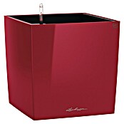 Lechuza Cube Pflanzkübel eckig Premium (Außenmaß (L x B x H): 39 x 39 x 40 cm, Kunststoff, Rot) | BAUHAUS