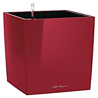 Lechuza Cube Pflanzkübel eckig Premium (Außenmaß (L x B x H): 49 x 49 x 49,5 cm, Kunststoff, Rot)