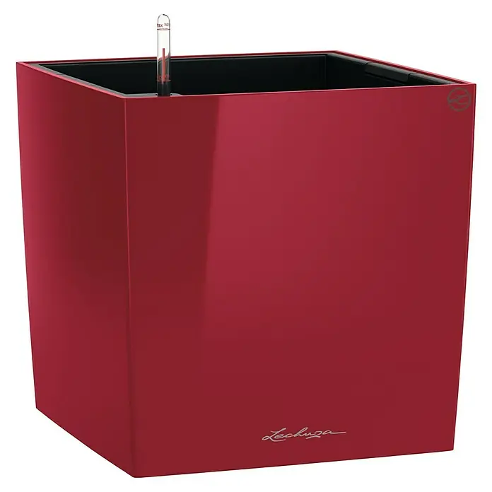 Lechuza Cube Pflanzkübel eckig Premium - Außenmaß (L x B x H): 39 x 39 x 40 cm, Kunststoff, Rot - Nahaufnahme eines eleganten, kastenförmigen Lechuza Pflanzgefäßes in auffälligem Rot, perfekt für moderne Innenräume.