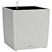 Lechuza Cottage Pflanzkübel eckig Cube (Außenmaß (L x B x H): 30 x 30 x 30 cm, Kunststoff, Lichtgrau) | BAUHAUS
