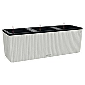 Lechuza Cottage Balkonkasten Trio (Außenmaß (L x B x H): 129,5 x 42 x 44 cm, Kunststoff, Grau) | BAUHAUS