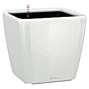 Lechuza Pflanzkasten Quadro Premium (Außenmaß (L x B x H): 50 x 50 x 46,5 cm, Kunststoff, Weiß) | BAUHAUS