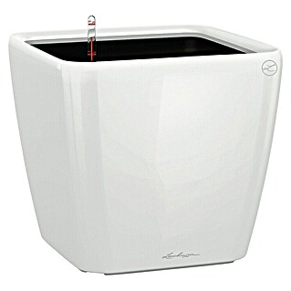 Lechuza Pflanzkasten Quadro Premium (Außenmaß (L x B x H): 50 x 50 x 46,5 cm, Kunststoff, Weiß)