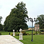 Panaled Vagg Farola (60 W, Negro, 60 x 60 x 217 cm, Sin bombillas) | BAUHAUS