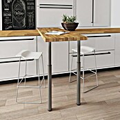 Pata para muebles (Ø x Al: 6 x 110 cm, Acero, Aluminio, Telescópica) | BAUHAUS