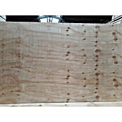 Sperrholzplatte Fixmaß Elliotis Pine C+/C (2.500 x 1.250 x 12 mm, Kiefer)