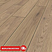 LOGOCLIC Vinto Laminat Classic Flinton  (Rustikalni pod, 1.288 x 195 x 8 mm) | BAUHAUS