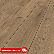 LOGOCLIC Vinto Laminat Classic Greenvale  (Rustikalni pod, 1.288 x 195 x 8 mm) | BAUHAUS