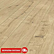 LOGOCLIC Ambienta Laminat Hrast Napoli  (Bež, Rustikalni pod, 1.288 x 195 x 10 mm) | BAUHAUS