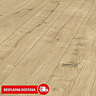 LOGOCLIC Ambienta Laminat Hrast Napoli (Bež, Rustikalni pod, 1.288 x 195 x 10 mm)
