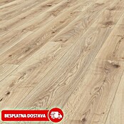 LOGOCLIC Ambienta Laminat Hrast Honig  (Bež, Rustikalni pod, 1.288 x 195 x 10 mm) | BAUHAUS