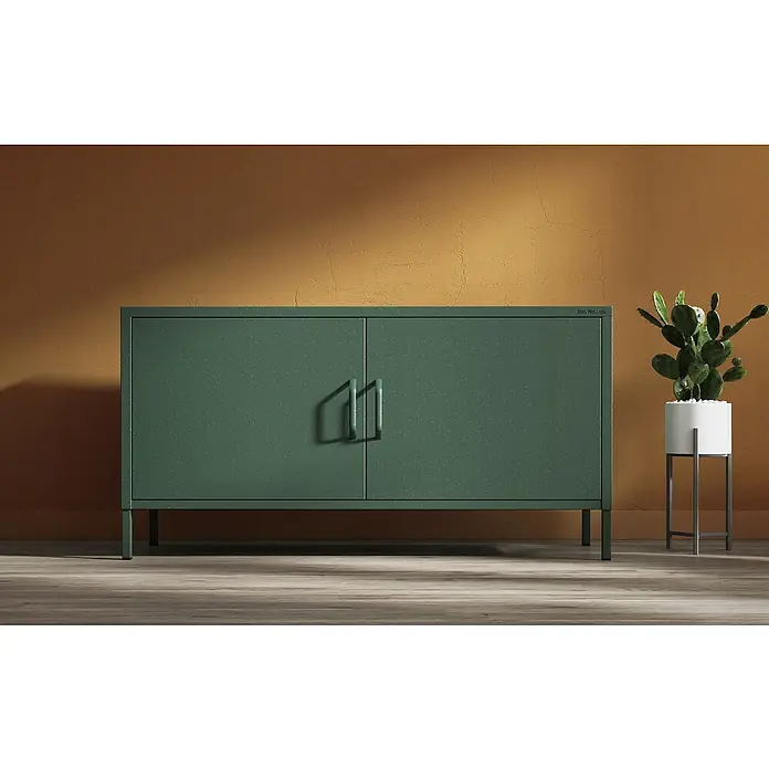 Jan Nowak TV-Schrank Rosa - H x B x T: 59,5 x 115 x 40 cm, Flaschengrün - Grüner Metallschrank mit zwei Türen und Griffen im minimalistischen Design neben einem Kaktus in einem weißen Topf.