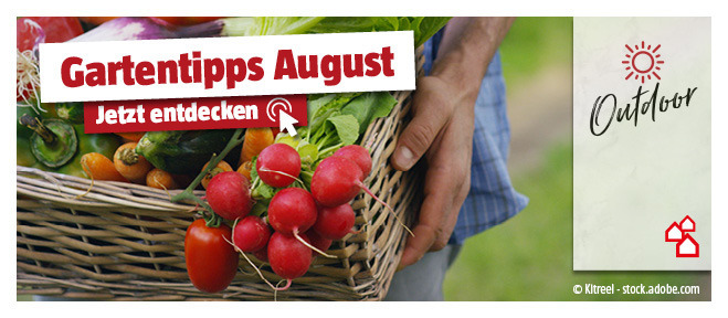 Gartentipps für August entdecken