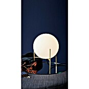 Nordlux Alton Tafellamp (Messing, Wit, E14, Ø x h: 20 x 29 cm) | BAUHAUS