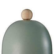 Nordlux Wandlamp Gaston (15 W, b x d x h: 11,5 x 19,5 x 19,5 cm, Groen, E27) | BAUHAUS