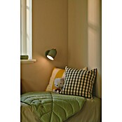 Nordlux Wandlamp Gaston (15 W, b x d x h: 11,5 x 19,5 x 19,5 cm, Groen, E27) | BAUHAUS
