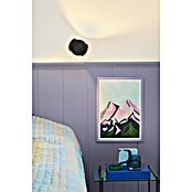 Nordlux Wandlamp Belir (b x d x h: 13 x 15,6 x 11 cm, Zwart, G9) | BAUHAUS