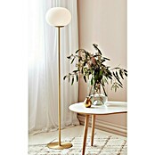 Nordlux Alton Vloerlamp (Hoogte: 150 cm, Messing, E27) | BAUHAUS