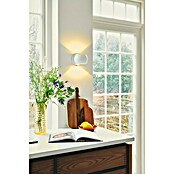 Nordlux Wandlamp Belir (b x d x h: 13 x 15,6 x 11 cm, Wit, G9) | BAUHAUS