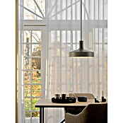 Nordlux Hanglamp Elvas (40 W, l x b x h: 37,5 x 37,5 x 13 cm, Lichtbruin, E27) | BAUHAUS