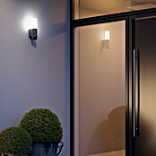 Steinel LED senzorska zunanja stenska svetilka L 625 CAM  (14 W, Do x Š x V: 13,1 x 7,8 x 30,5 cm, Antracit/Bela, Toplo bela) | 3079 - Wandleuchte outdoor mit Bewegungsmelder | CAJA - Outdoorleuchten Hochvolt | CAJ - Outdoorleuchten | CA - Beleuchtung | C - Elektro | BAUHAUS