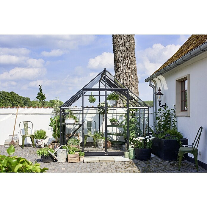 Halls Gewächshaus (Glasstärke: 3 mm, Einscheibensicherheitsglas (ESG), Schwarz)