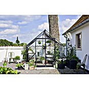 Halls Gewächshaus (Glasstärke: 3 mm, Einscheibensicherheitsglas (ESG), Schwarz)